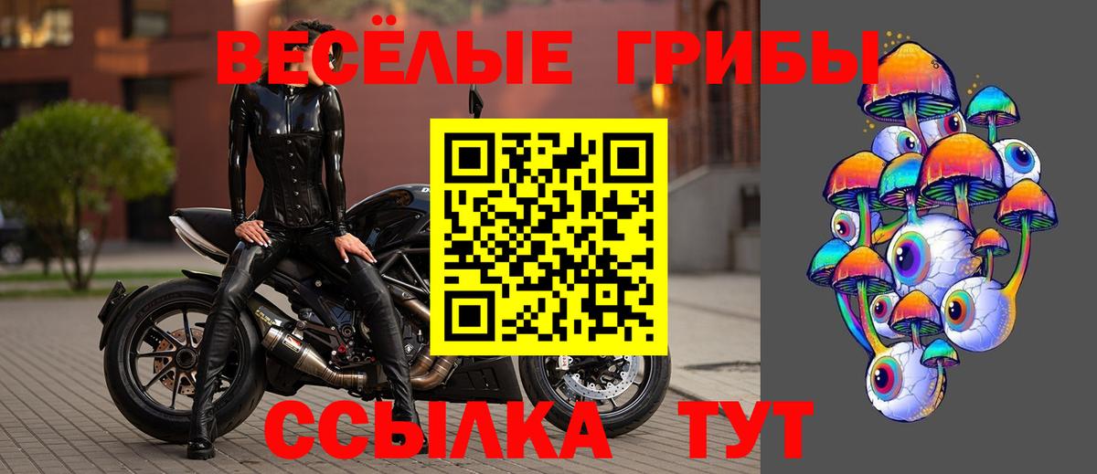 Псилоцибиновые грибы Psilocybe Дзержинский